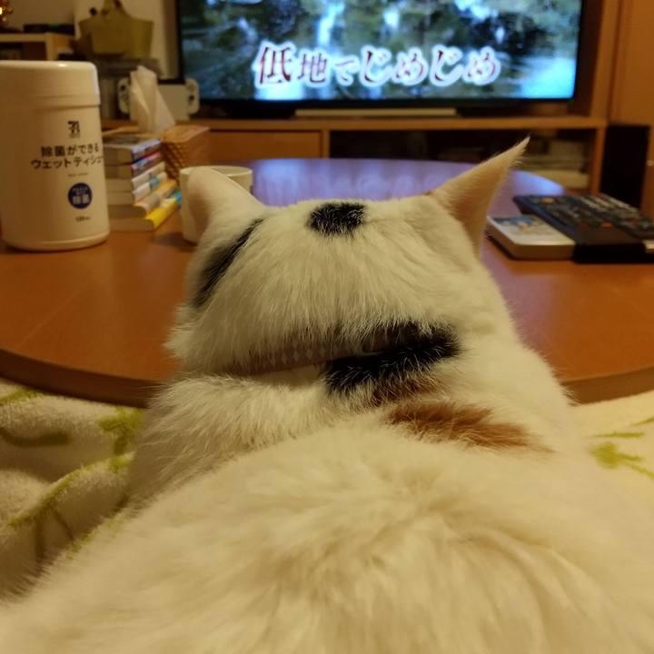 040716e8 3142 4b61 a2a0 29212aa359a1 1650106527529