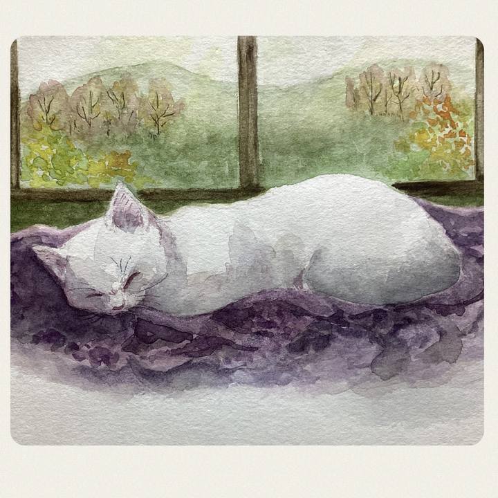 04071f3b 0631 4d05 9f3c 986d06164211 1733141256483