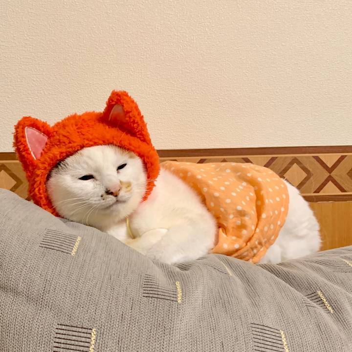 040735fa 84c2 4850 b21b ff0d134bfcff 1546179741429