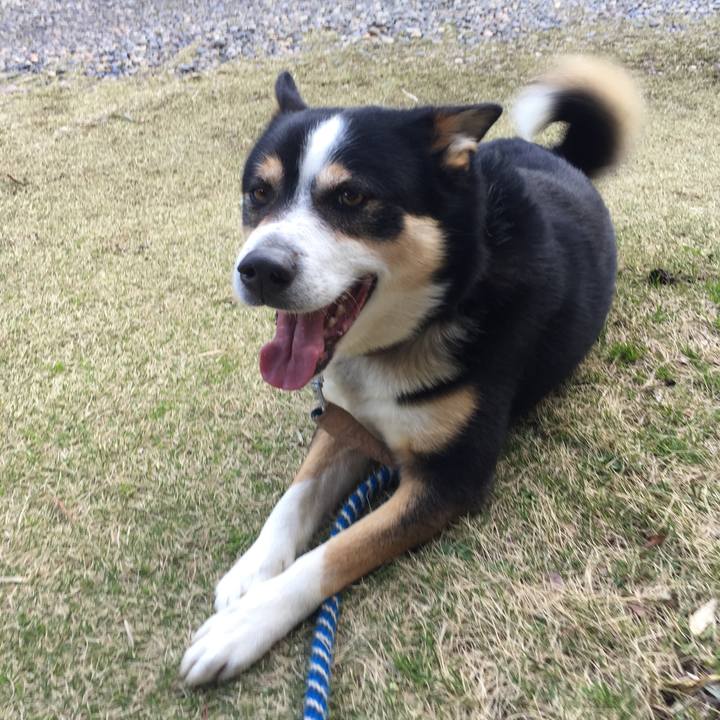 04074fea 95eb 45f5 a267 0ef45086a9cc 1525621572789