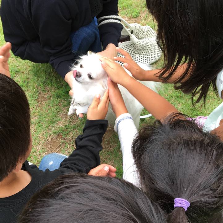 0407652a 3ea1 4ced adac 1a9df673147d 1529749678981