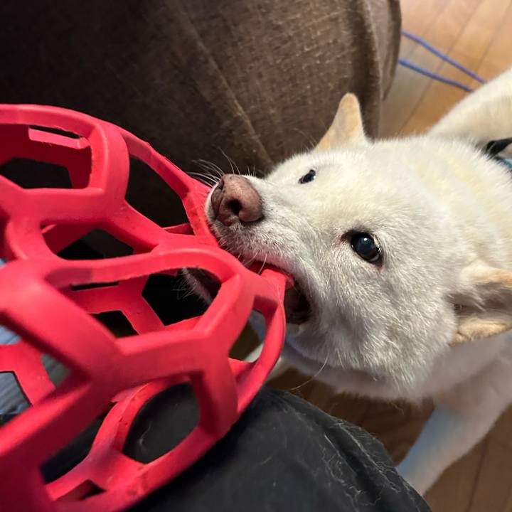 04076916 030c 4fdd 8103 8f93e195d492 1752356758633