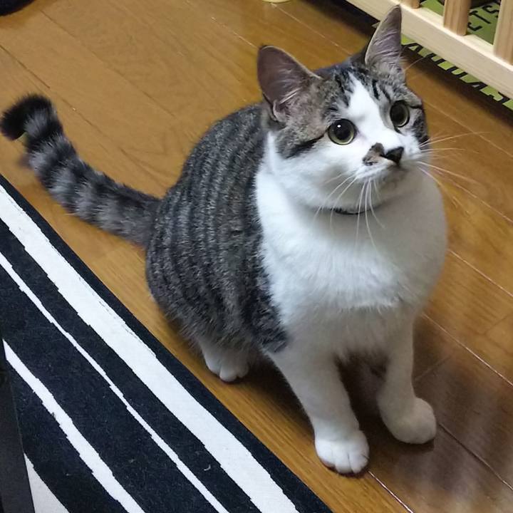 04078e41 f257 4116 bc54 13bd8915c925 1618400855030