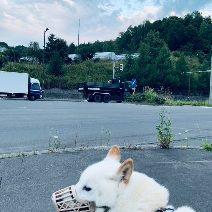 0407c28f 2ab4 49b8 8c5a 773339f0c608 1598388994113