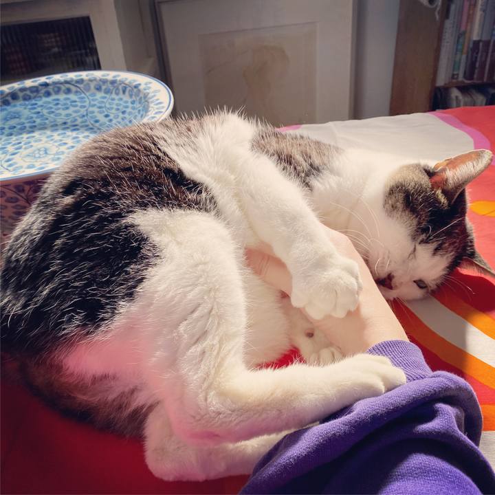 04083d27 48d0 459e a6c8 ed44ab2544f8 1578196770401