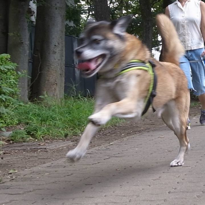 0408569f abfd 41f6 9833 c1c2fcaa2c50 1589679555986