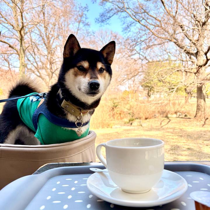 04088dd4 59a9 4fbb 966f 4ef8e7d26de0 1771844302894