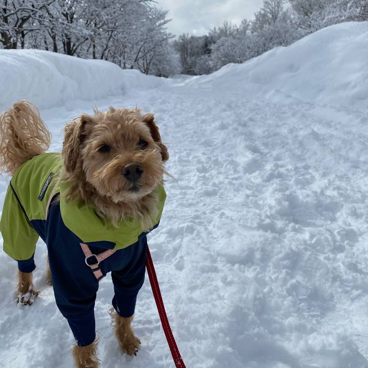 04089d7e a339 4c93 9296 ce2cf0b7b0b6 1645328733633