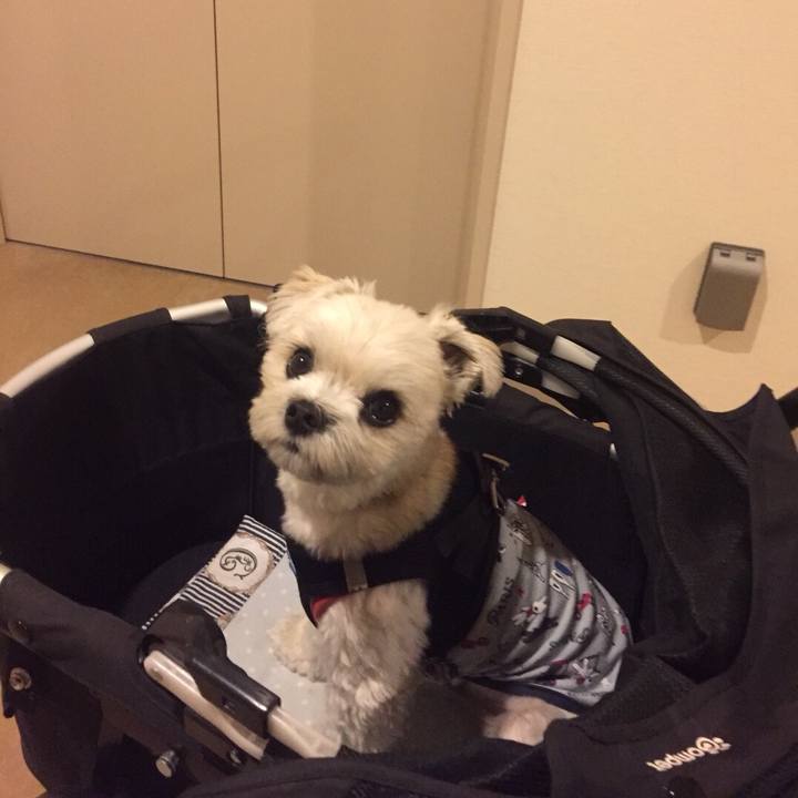 0408be6f 7ecf 48b9 ba3c f7eb33e608d1 1509274899826