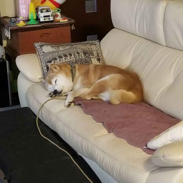 0408e5b4 14d0 4be7 9b25 3917d075a361 1705103738217