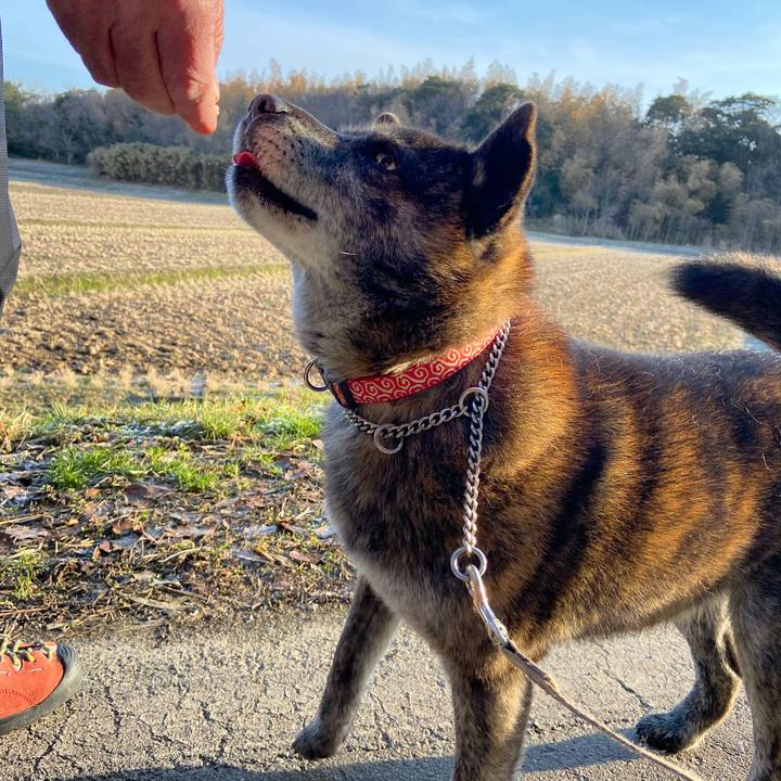 0408f330 08ee 42c1 af58 e54c9c2717fc 1615550212603