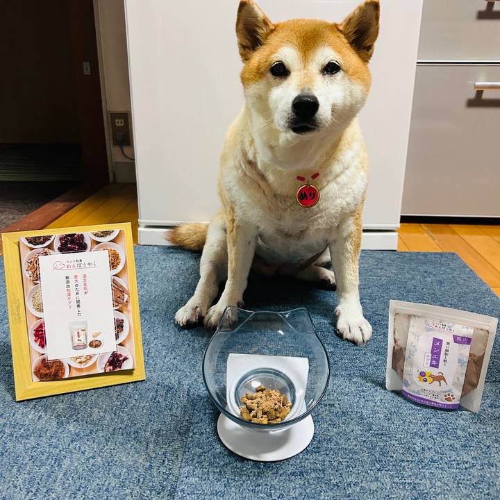 0408f5cc d67e 424d 83e7 6625e382269f 1727604699986