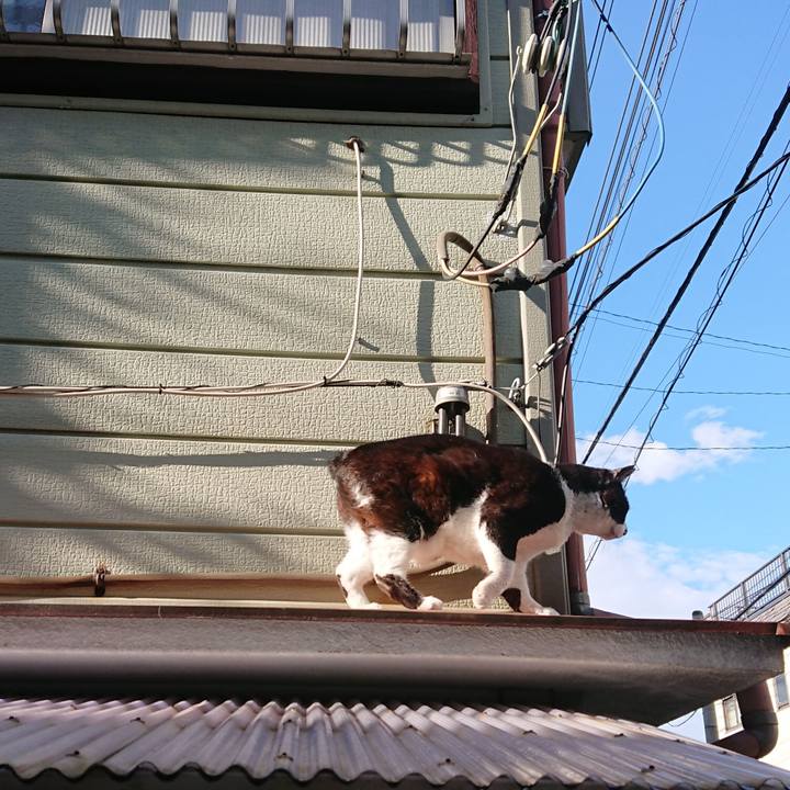 04092391 89af 4c1e b26c a1f54c9d6b47 1587195099968