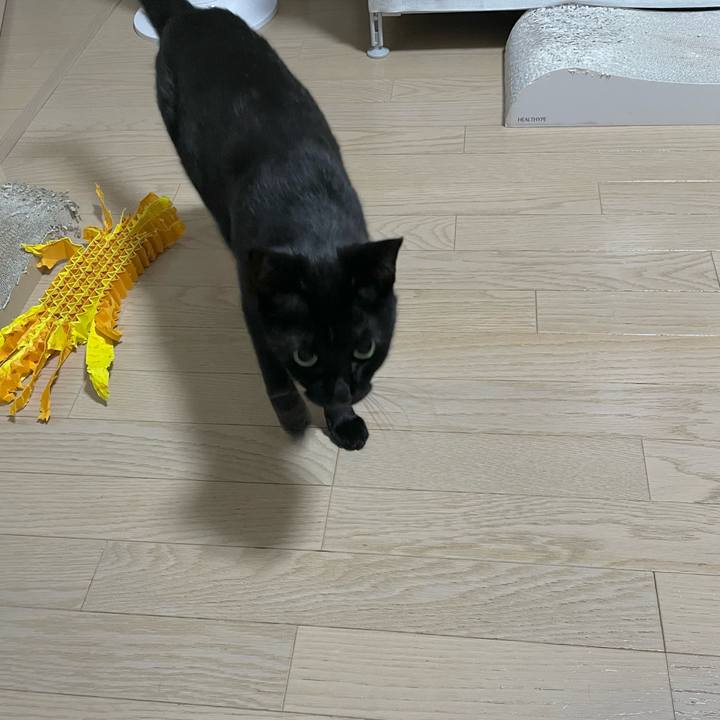 04096342 2965 43f5 b5fa 1a33c0865459 1699447566009