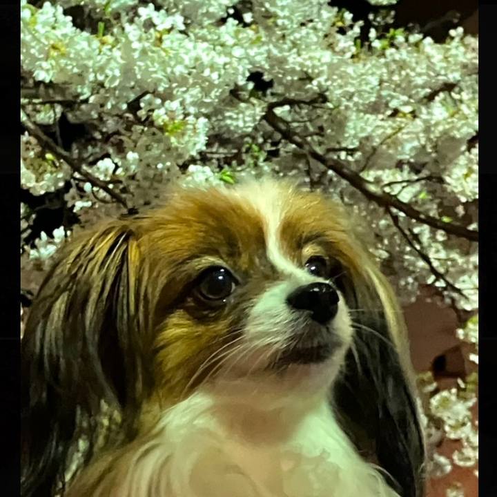 04098884 9a32 4403 aa32 0f815c46bb9e 1714133024445