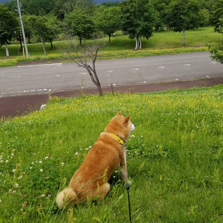 0409b185 e05c 4941 9858 c70cc46a1c6a 1686891406638