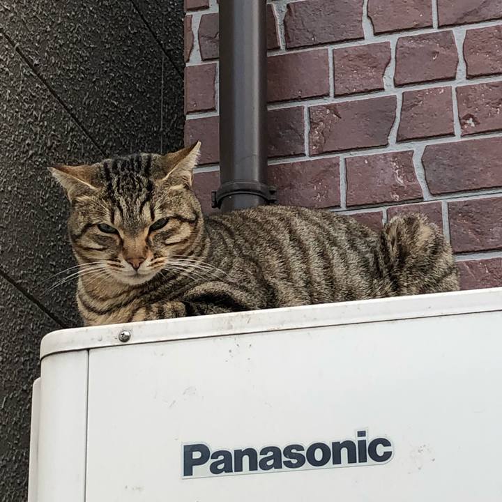 0409bc51 3e2a 4110 bbb9 a440829b94aa 1545403103167