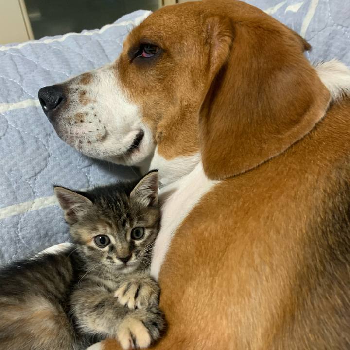 0409c1f1 8799 4cc2 99dc 2fd389fd0ec1 1589366025350