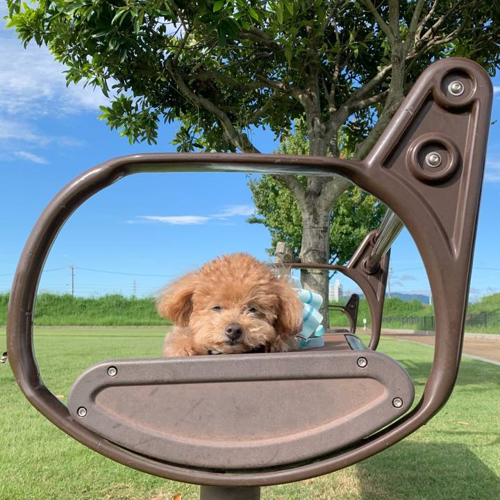 040a142d f454 4b48 a7d6 145d6d3be972 1760341904012