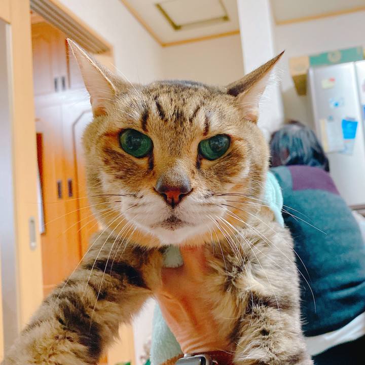 040a293e ad8c 48bf b2e3 9750a2846bc8 1641180976295