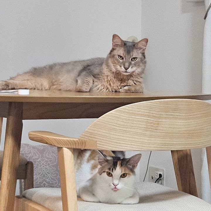 040a2abe 1525 4623 8a04 7faca006468e 1753098698275