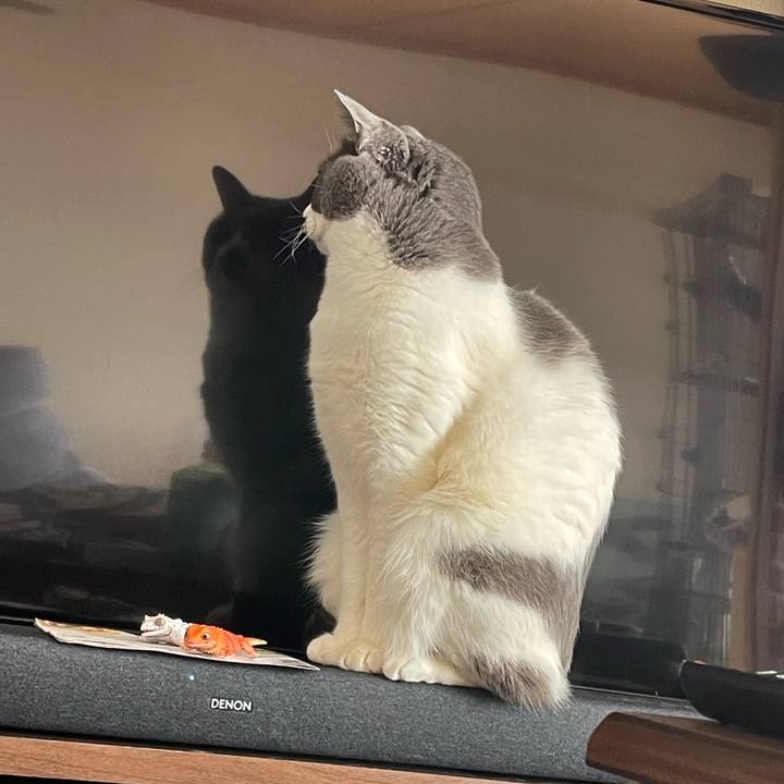 040a37e5 bcbf 42c5 a56b 7cc8ac71a134 1706515430366