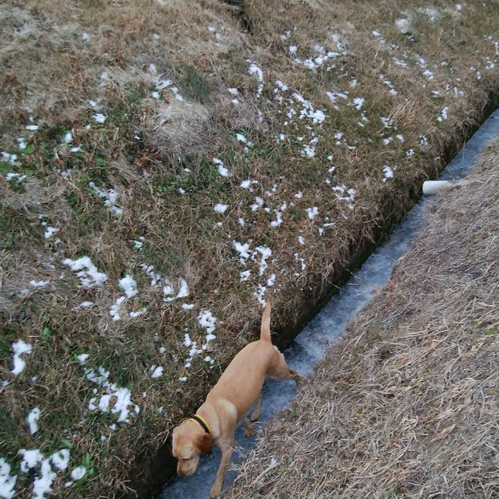 040a3dfd 64d1 466b 9f00 623a8b134752 1514698331871