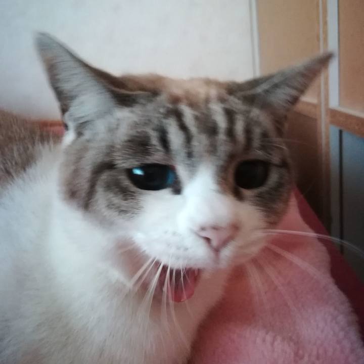 040a4e1e a8e9 4408 9630 2a74b5751f81 1547359646183