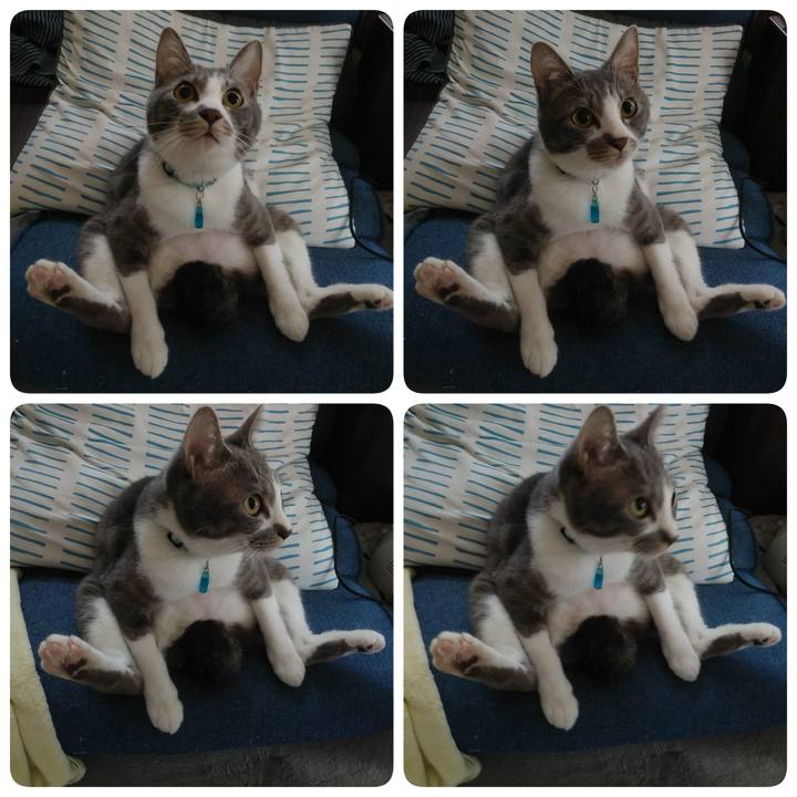 040a8fd1 6521 4822 a149 d54bdb1bb9ef 1590025595684