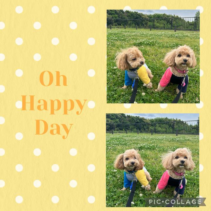 040aafed be11 42fb 9c70 8da56d587542 1714980724757