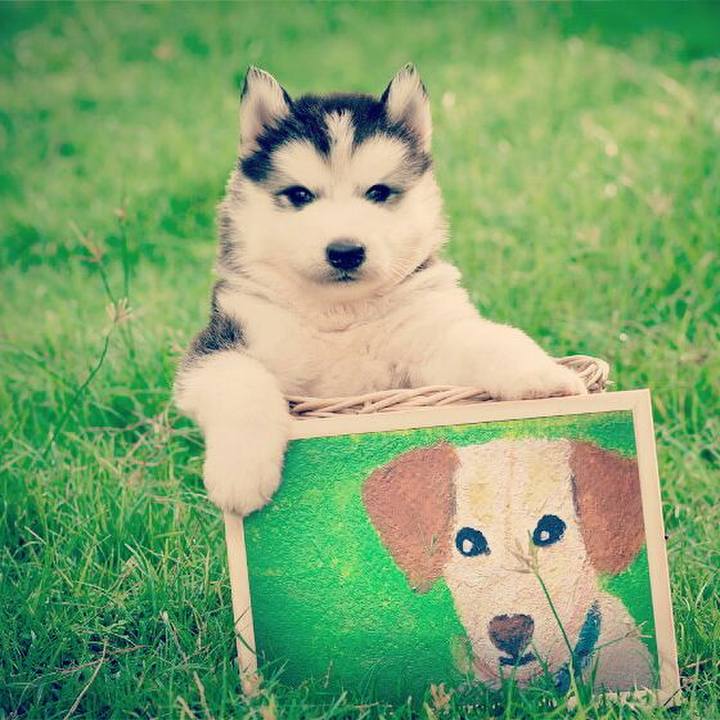 040ac660 a534 4abb a132 3ec2f4b3da49 1518824640429