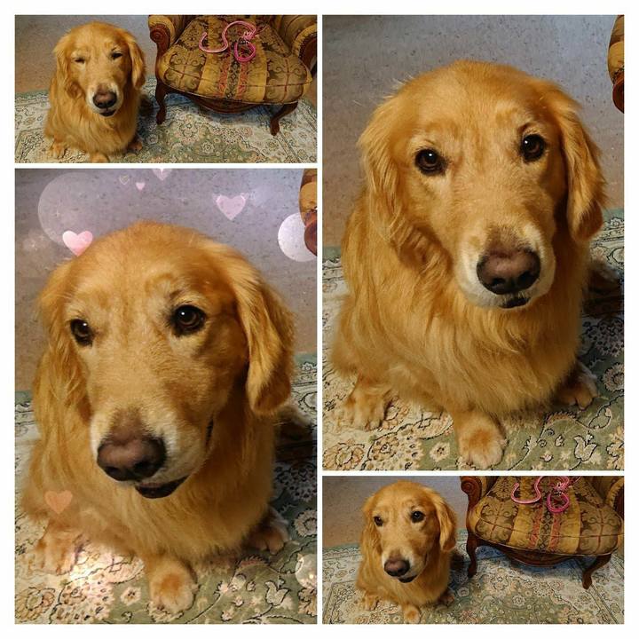 040ad29c 6ef4 4dd1 b810 5e68013c141c 1586773022723