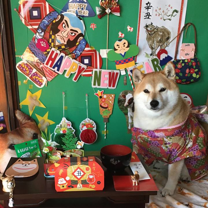 040b6c27 f243 4c78 b00c b95fd83fc087 1609464408199