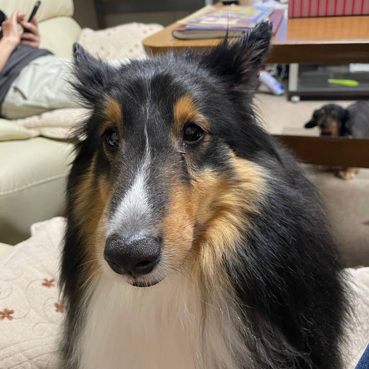 040b80e5 b3f7 4582 8c7d 2b3eda42d021 1618828253164