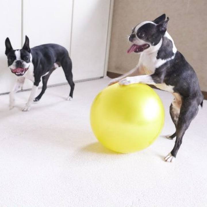 040b8fee 309c 44e1 935b a94b01f84c65 1529840576845