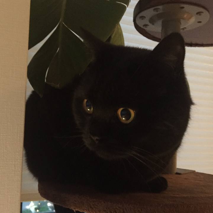 040bfd78 6e10 4b1e 8d69 a3598426268e 1591177849934