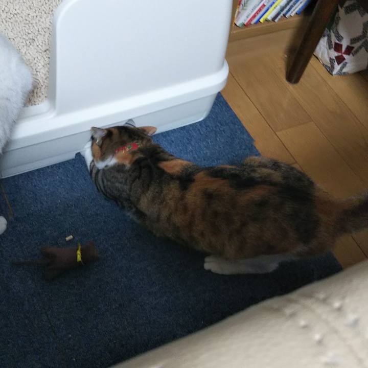 040c4961 6e67 4839 9e15 e67c3a96969f 1643434173323