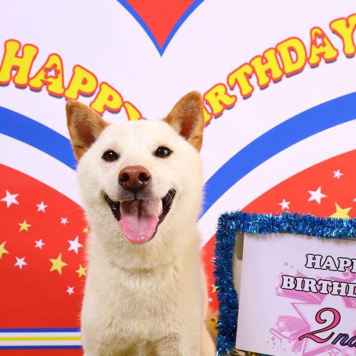 040c5cf3 2a15 4326 b851 dab133627f72 1531614610654