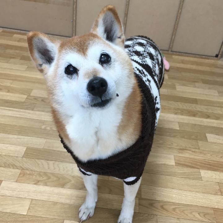 040c6ef7 3068 467a af07 abac4cce1df9 1542335183090