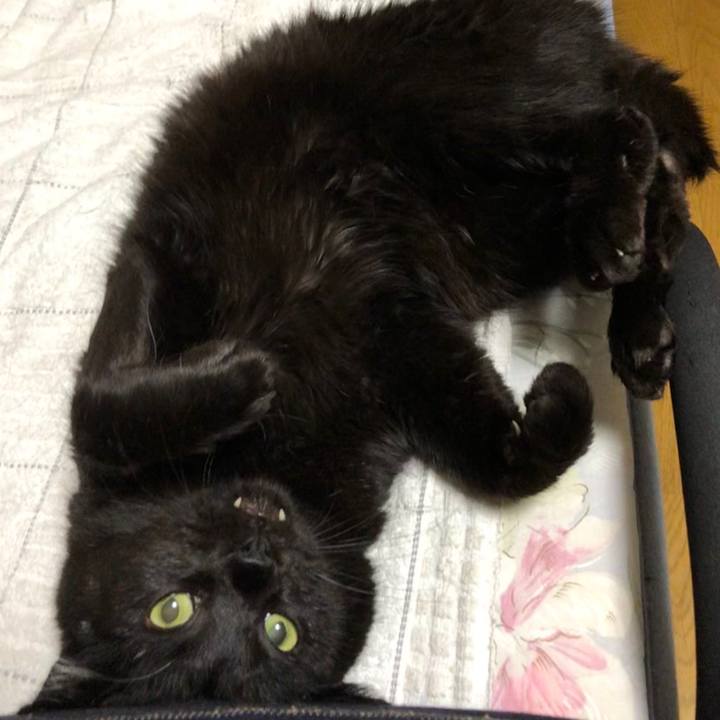 040caeb1 cb2b 4c49 8cdd 3dc752bde459 1593691821322