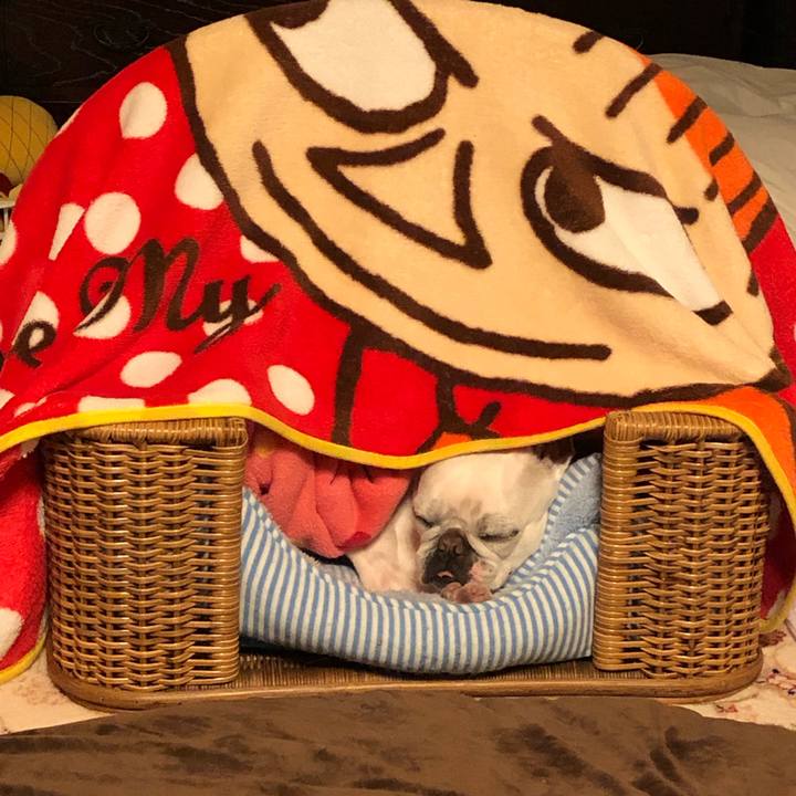 040cc510 f31d 4ac1 a074 d168cc5ead92 1556624289209