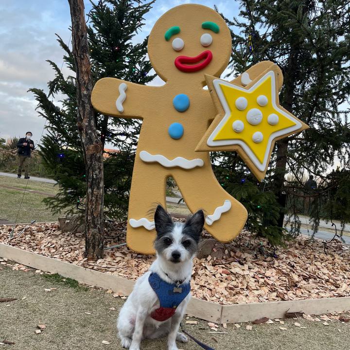 040cf3d7 9266 472f ae02 48f2f6b7ad36 1763902224506