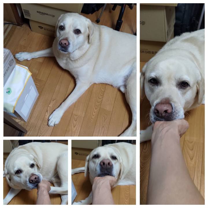 040cfa1a 33cb 4bda 9e0b c5dd20a5be82 1688343857816