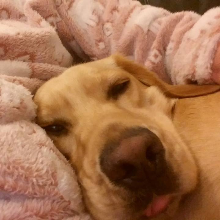 040d0a62 c94b 42a6 960c 767c6fafe496 1519805744863