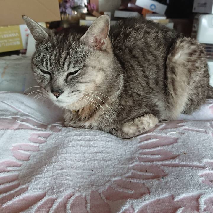 040d2405 9c72 4e96 9731 d0804854d60f 1591739745316