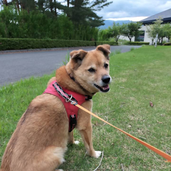 040d3a7a 5908 4c54 ba12 ccb03e0f04e8 1748773293217