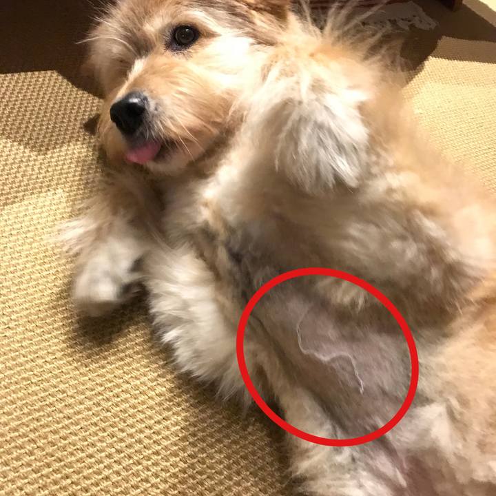 040d5f5d 72e6 435e 8e4d f7c067a620ad 1627914488954