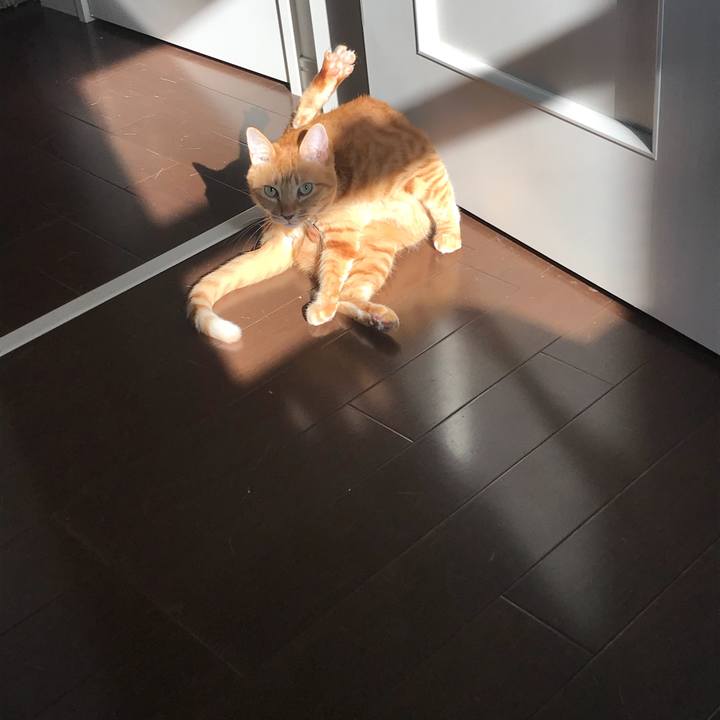 040d71a8 ad66 4796 ac33 94dca5067890 1541169793809