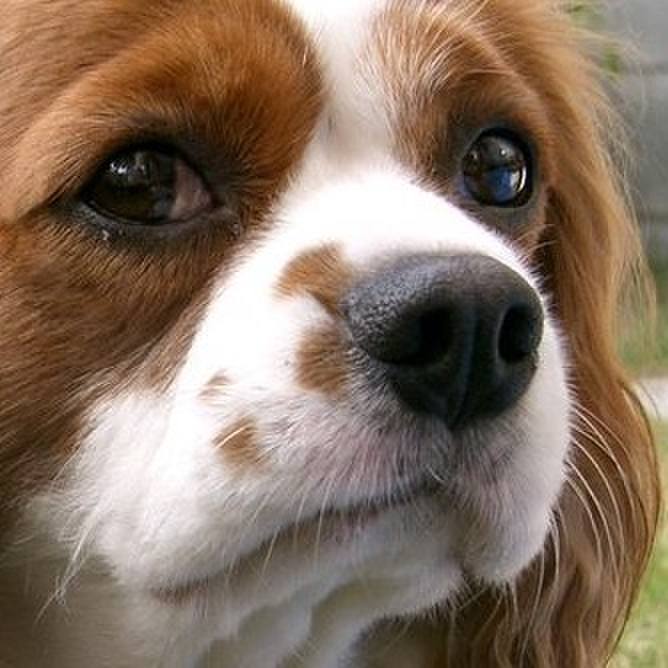 040d77b6 b136 441f ad2d 14720c0bb86a 1523398162373