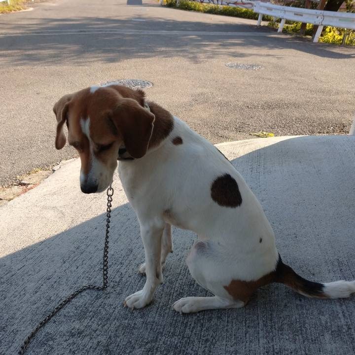 040d7c0c 66a4 4b47 9213 6003993c63b3 1603608295344